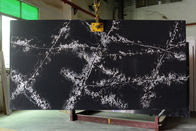 Dikdörtgen Undermout Lavabo için NSF Carrara Quartz Vanity Top